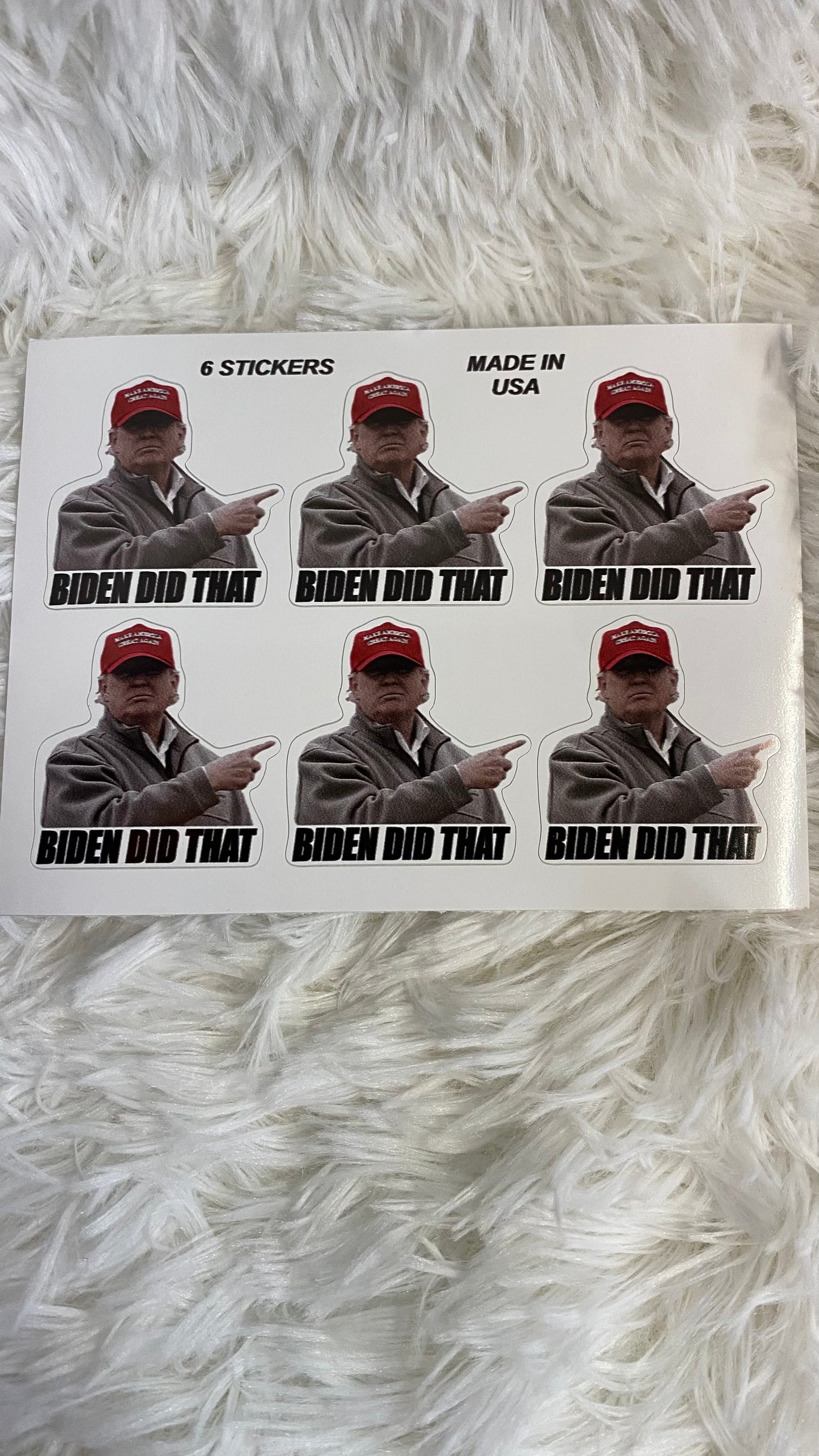 BIDEN DID THAT DYE CUT BUMPER/ WINDOW STICKER - Crazy Kat Design Co