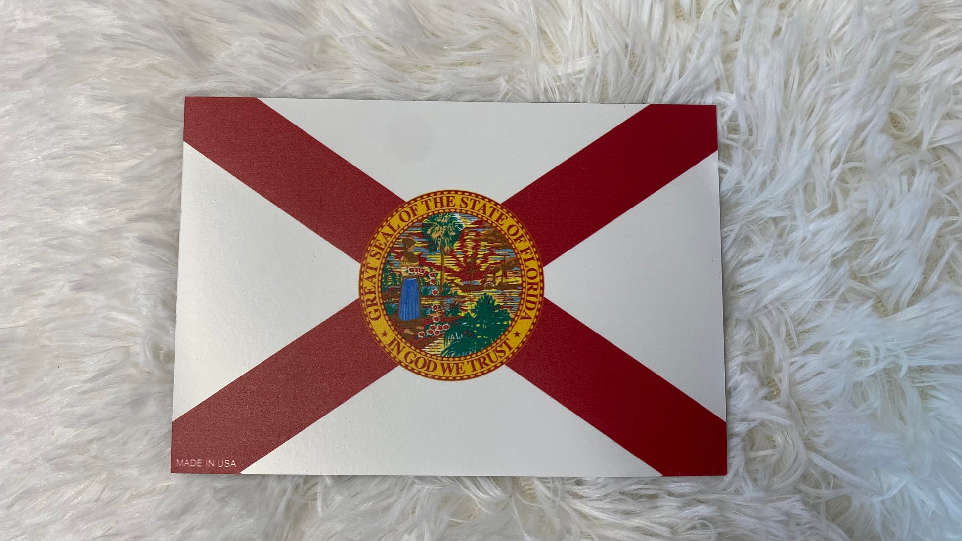 FLORIDA FLAG DYE CUT BUMPER/ CAR MAGNET - Crazy Kat Design Co