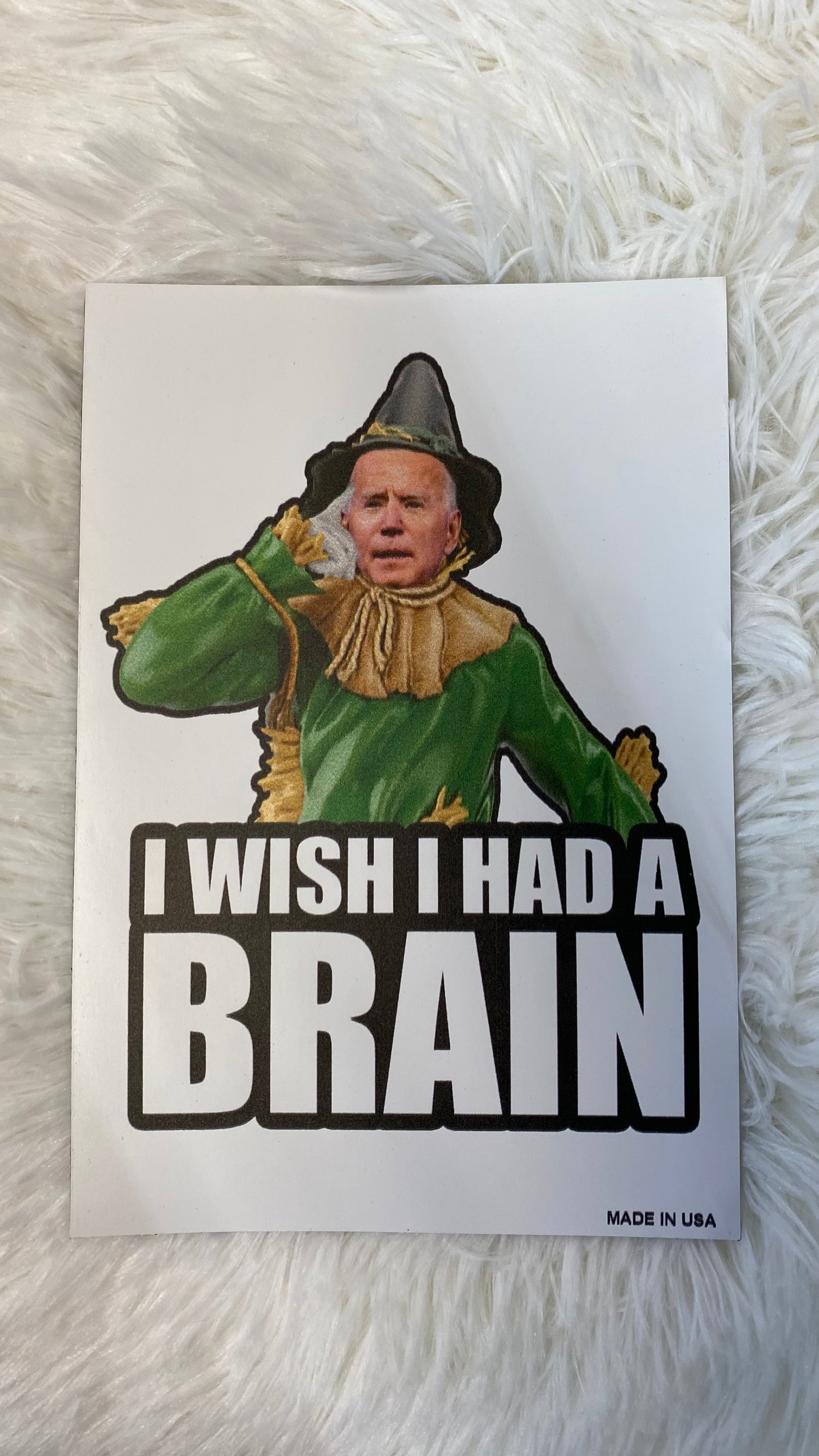 I WISH I HAD A BRAIN! DYE CUT BUMPER/ CAR MAGNET - Crazy Kat Design Co