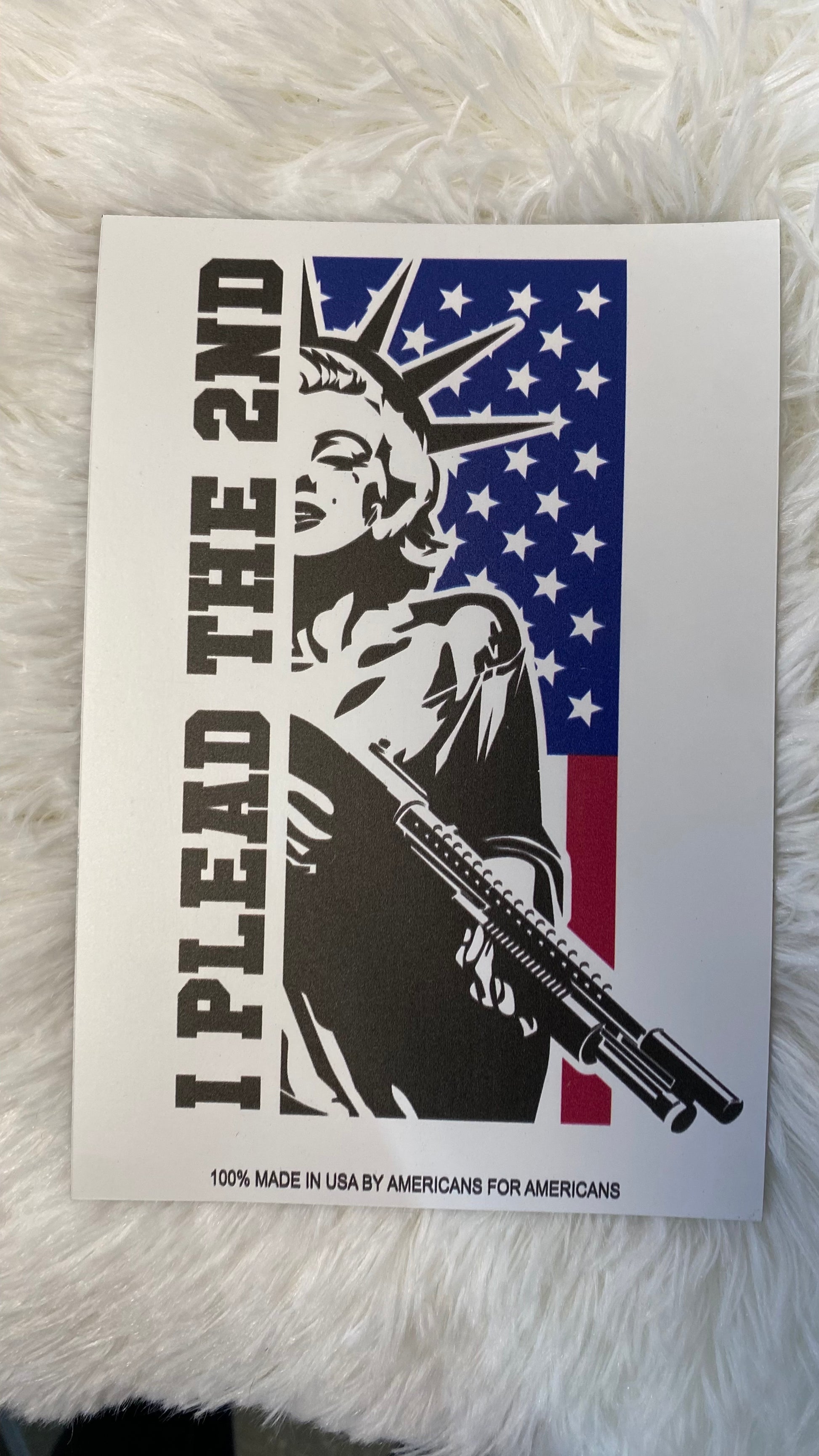 I PLEAD THE 2ND DYE CUT BUMPER/ CAR MAGNET - Crazy Kat Design Co